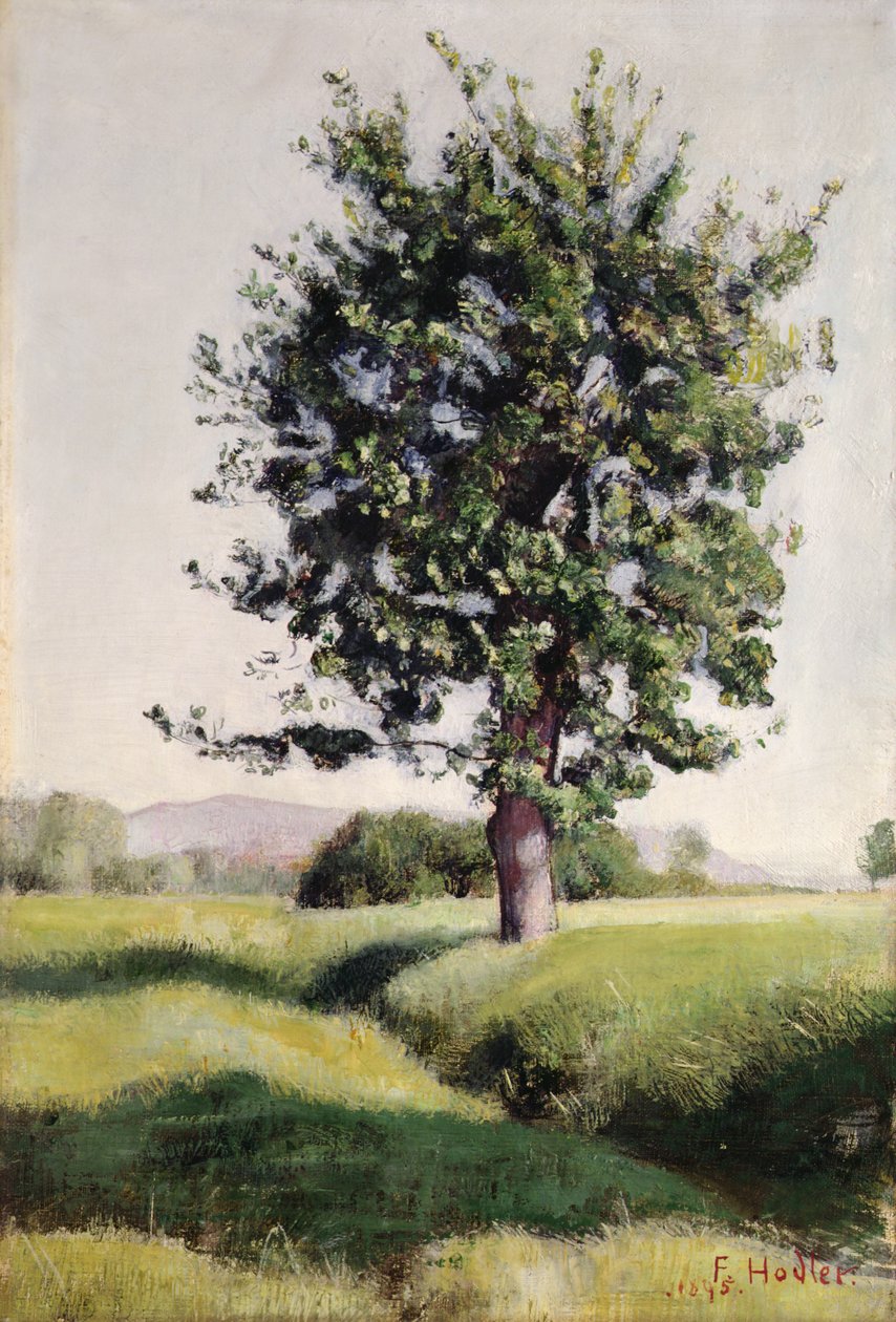 Puu tekijältä Ferdinand Hodler