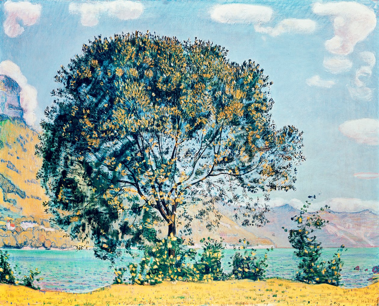 Tuntematon kuva tekijältä Ferdinand Hodler
