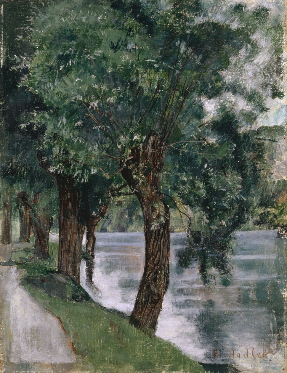 Willow Trees at Rhônen, noin 1885 tekijältä Ferdinand Hodler