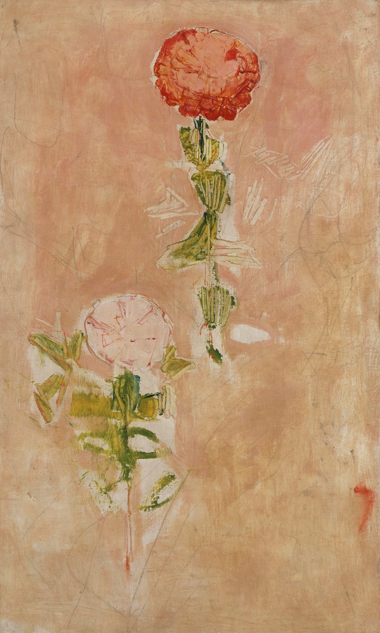 Zynien, tutkimus tekijältä Ferdinand Hodler