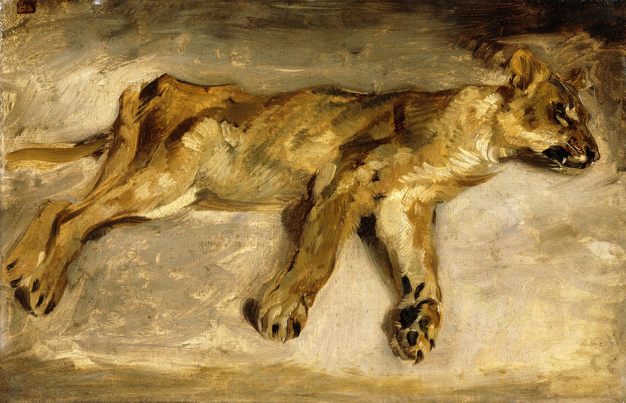 Nukkuva leijona, n. 1830 tekijältä Ferdinand Victor Eugene Delacroix