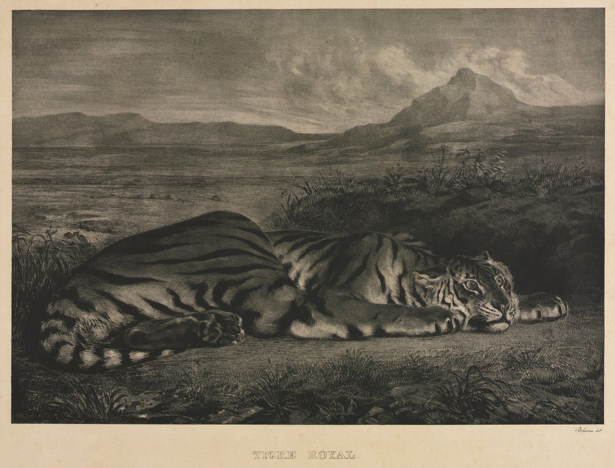 Kuninkaallinen tiikeri, 1829. tekijältä Ferdinand Victor Eugene Delacroix