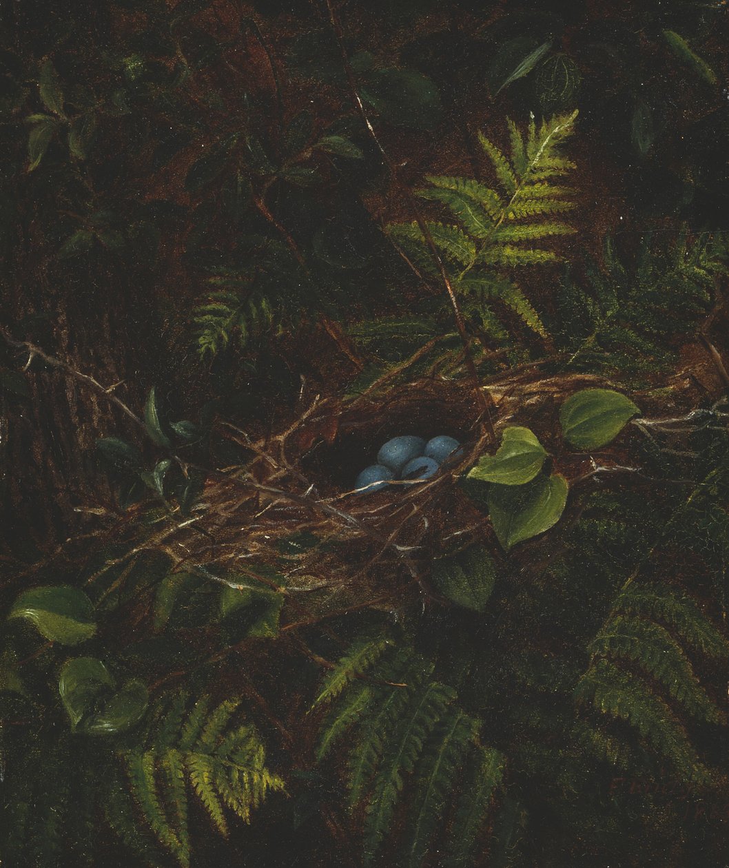 Linnunpesä ja saniaiset, 1863. tekijältä Fidelia Bridges
