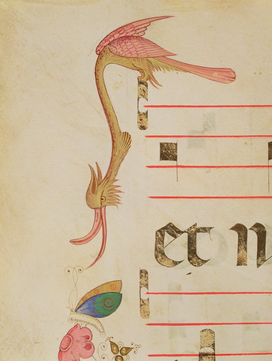 Missal 515 f.9r Fantastinen perhosta metsästävä lintu, koristeellinen reunus ennen vuotta 1449 tehdystä kuorokirjasta tekijältä Filippo di Matteo Torelli