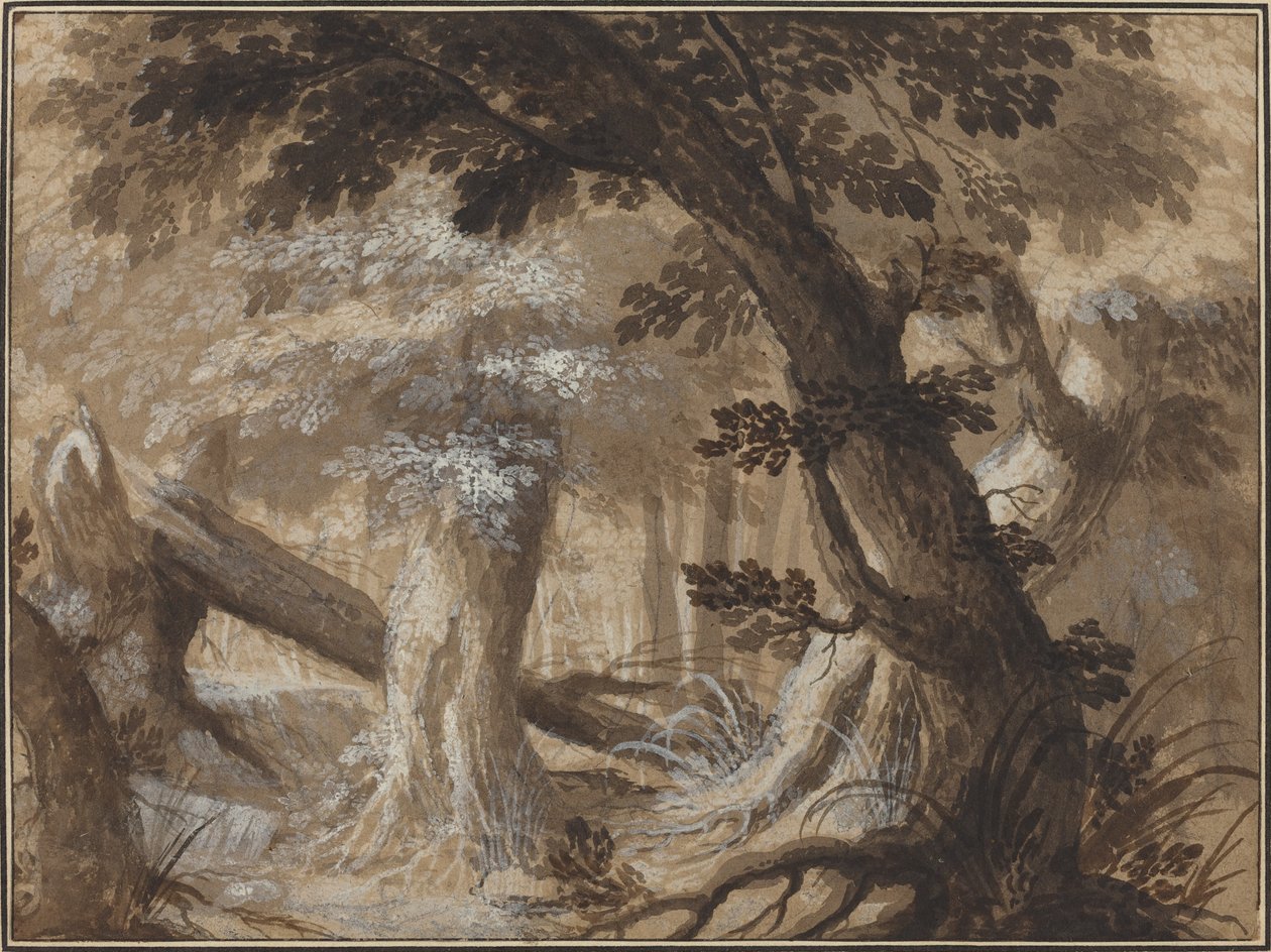 Metsän sisustus tekijältä Flemish 17th Century