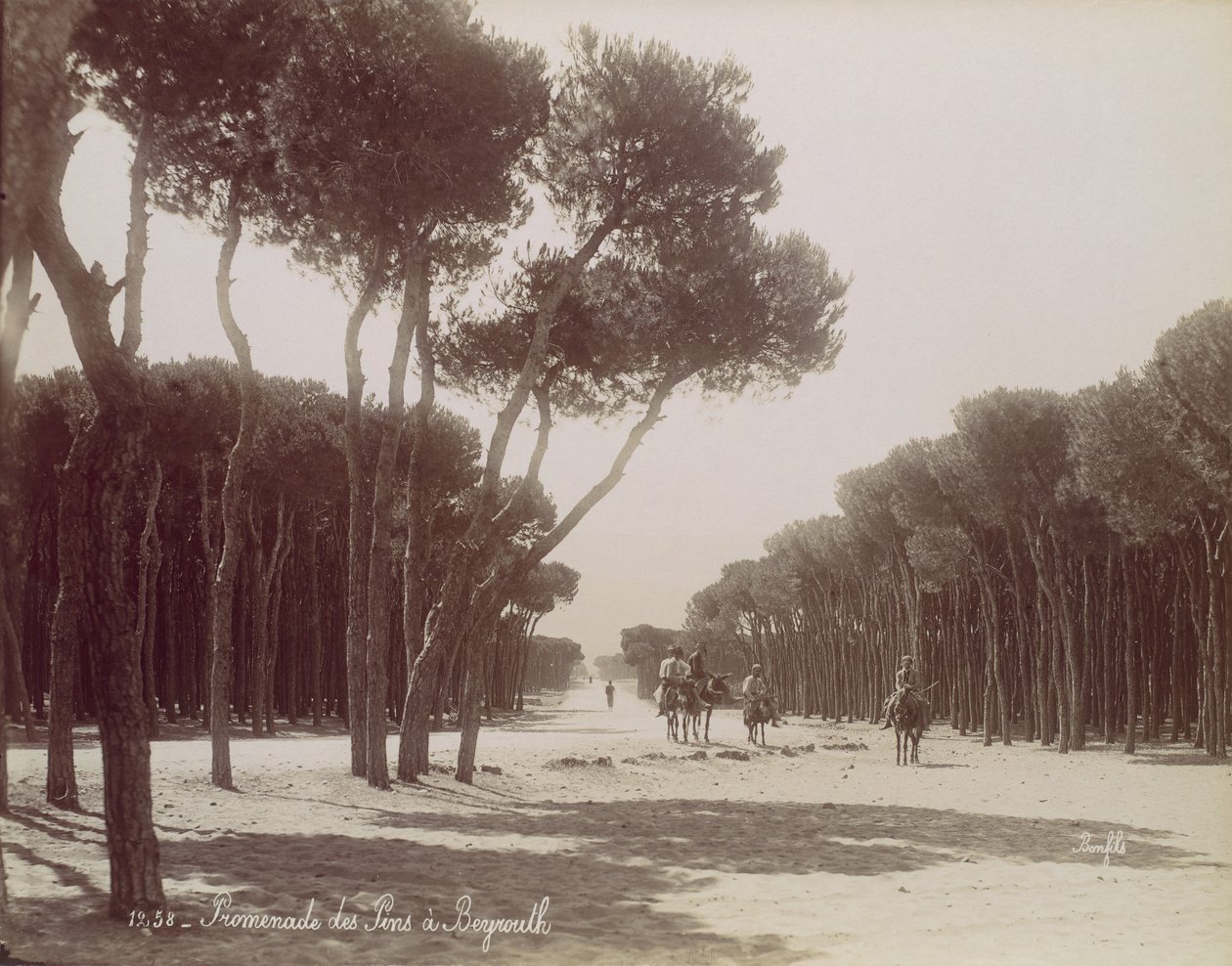 Promenade des Pins Beirutissa, n. 1870. tekijältä Félix Bonfils