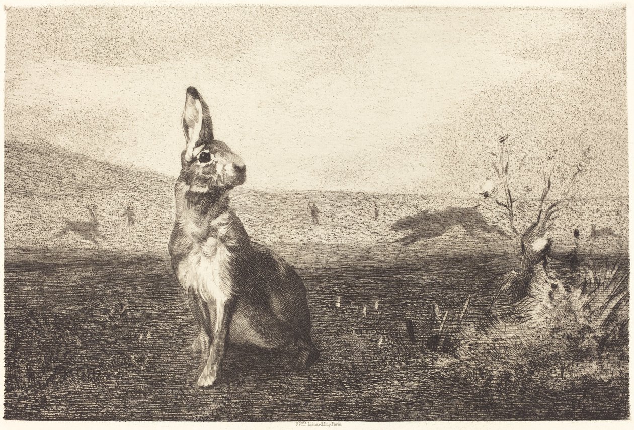 Jänis tekijältä Félix Bracquemond after Albert de Balleroy