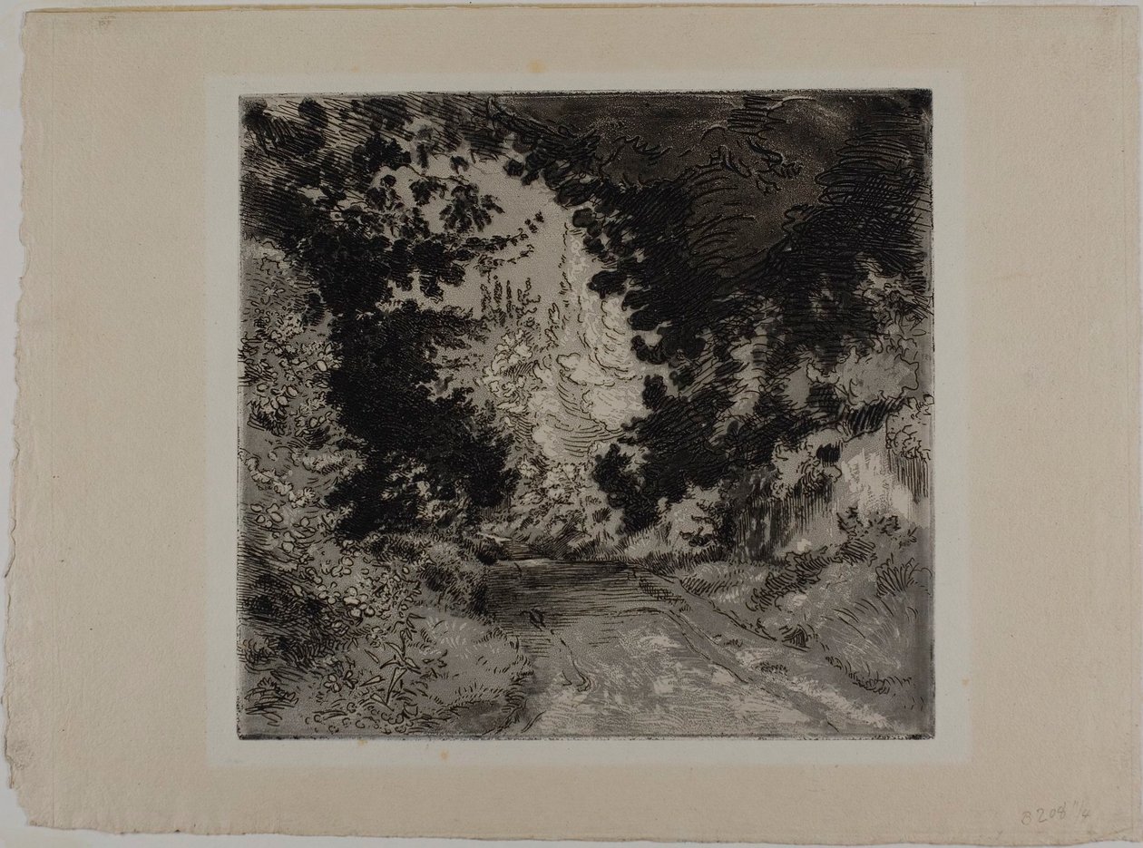 Chemin de Coutures, Sèvresin kaupunki tekijältä Félix Henri Bracquemond
