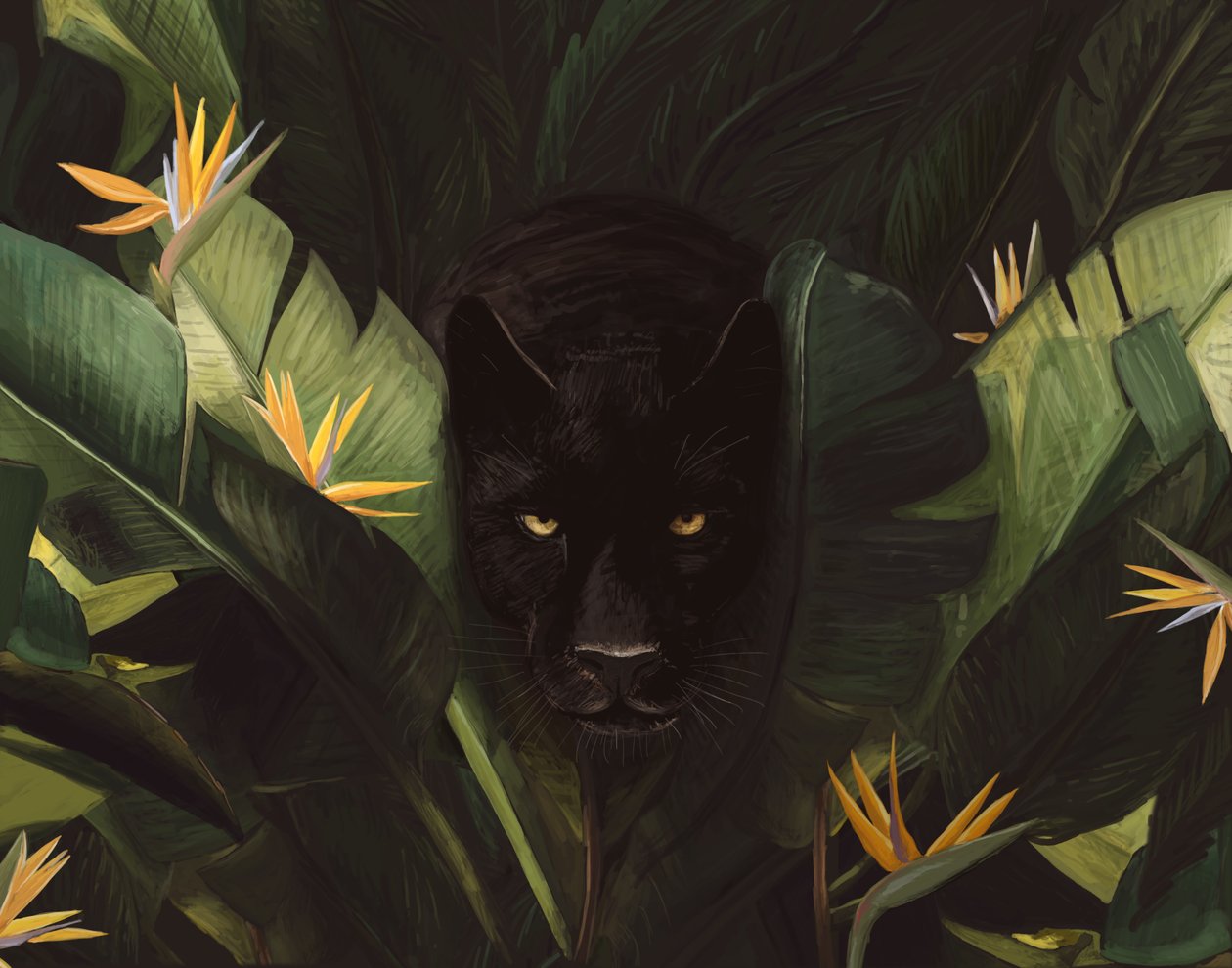 Hei Panther, 2020 (digitaalinen) tekijältä Florent Bodart