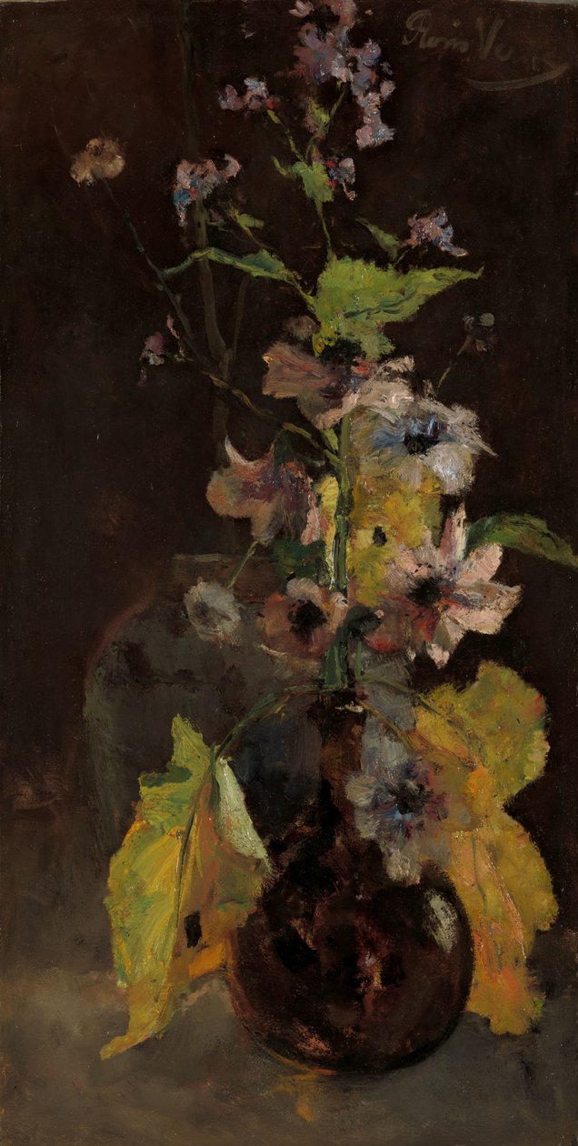 Anemones tekijältä Floris Verster