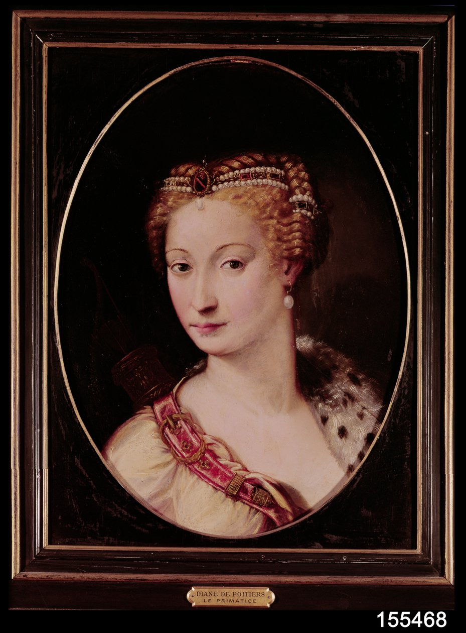 Diane de Poitiers (1499-1566) (öljy liuskekivellä) tekijältä Francesco Primaticcio