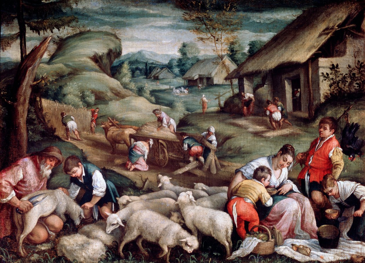 Kesä. Lampaiden leikkaus, c1570-c1580 tekijältä Francesco Bassano the Younger