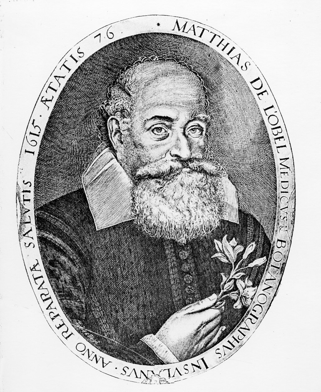 Mattias Obelilainen tekijältä Francis Delaram