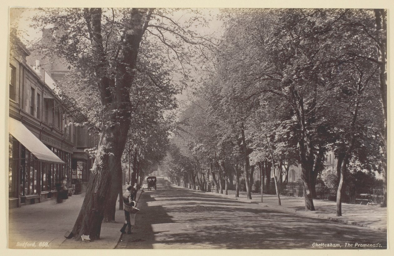 Cheltenham, Promenade tekijältä Francis Bedford