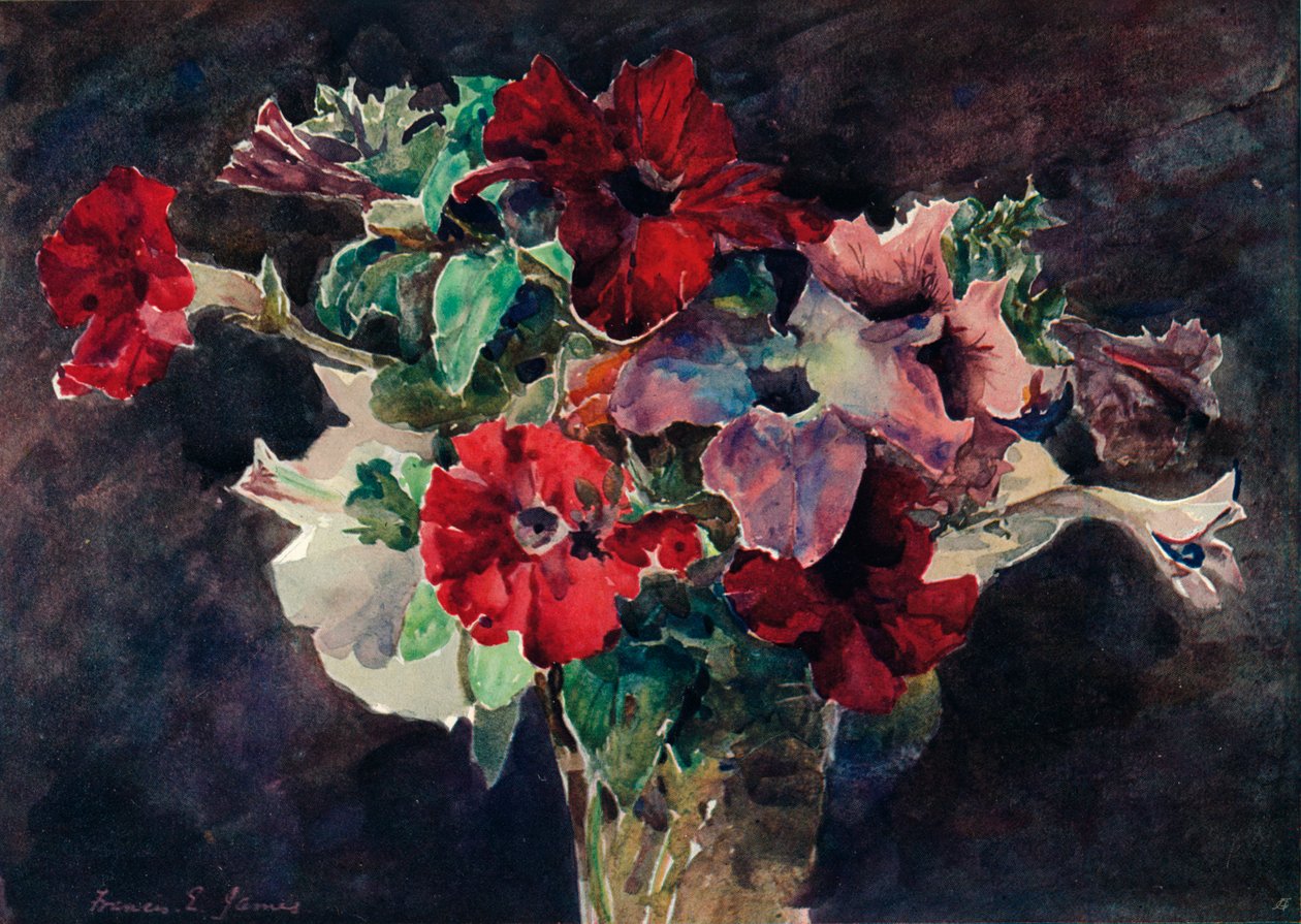 Petunias, c1869-1906, 1906 tekijältä Francis Edward James