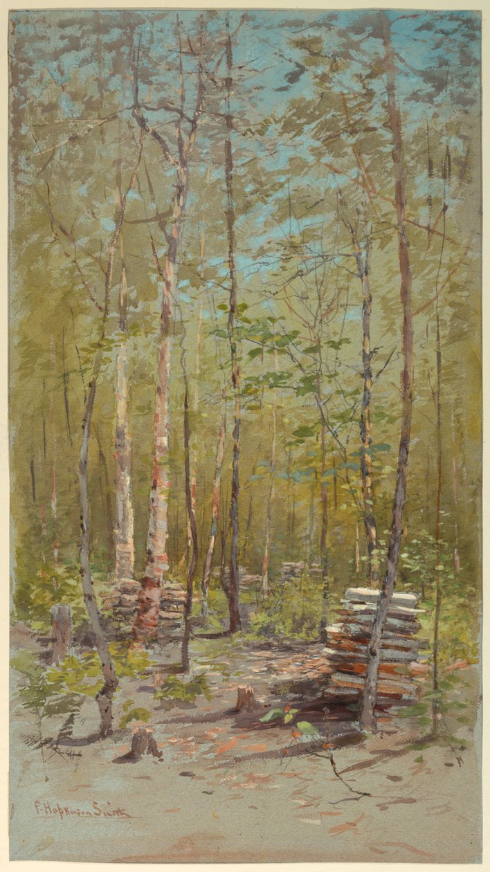 Koivut tekijältä Francis Hopkinson Smith
