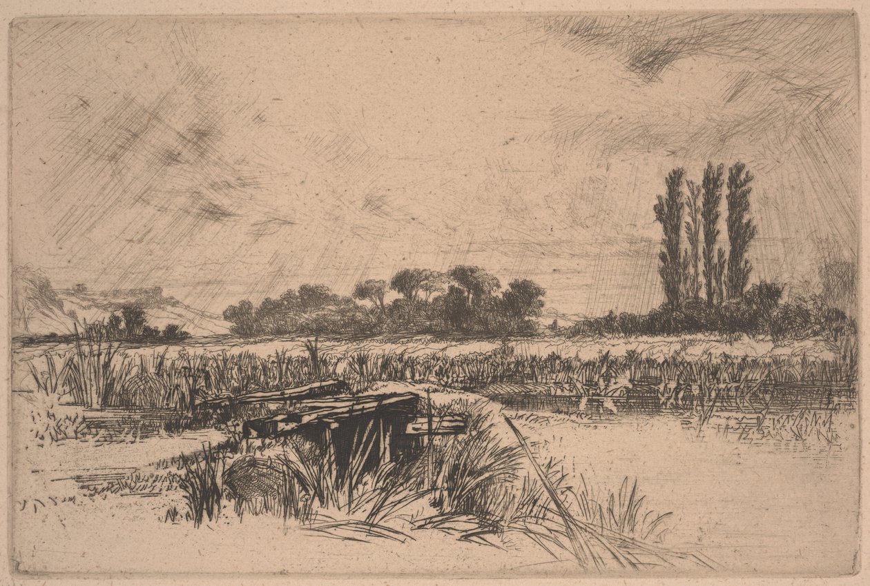Water Meadow (etsaus ja kuivakärki) tekijältä Francis Seymour Haden
