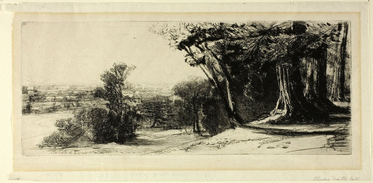 Early Morning, Richmond Park tekijältä Francis Seymour Haden