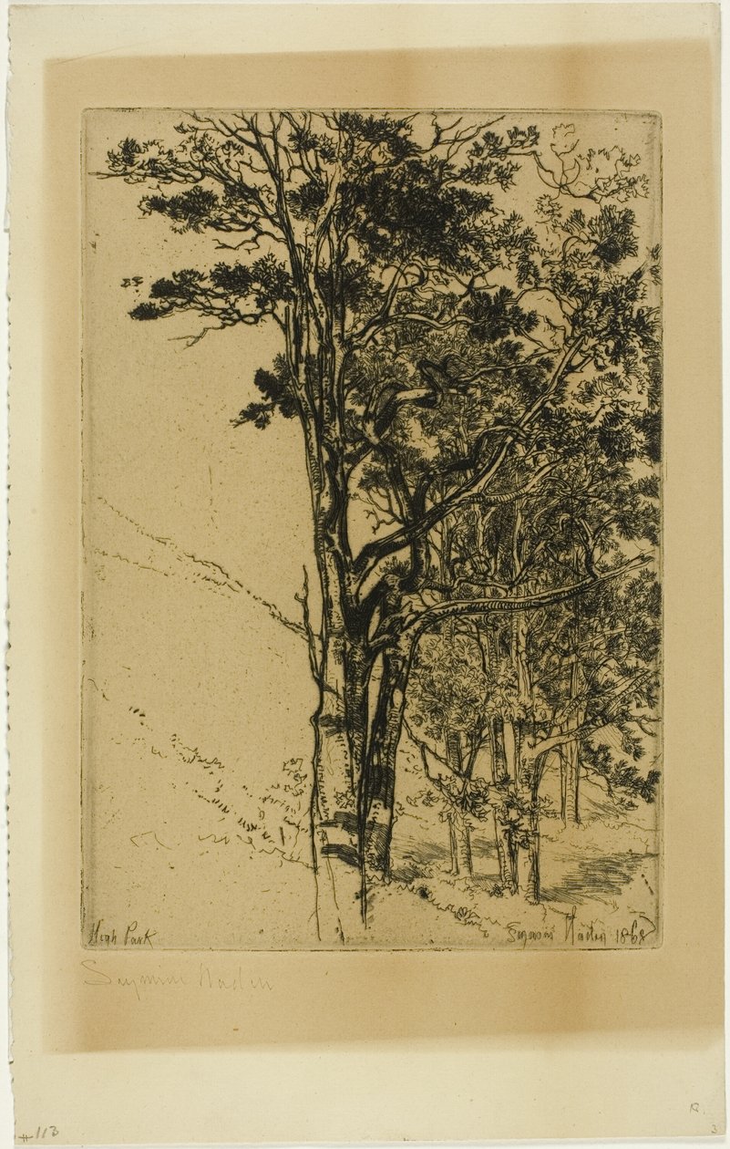 Firs (tutkimus) tekijältä Francis Seymour Haden
