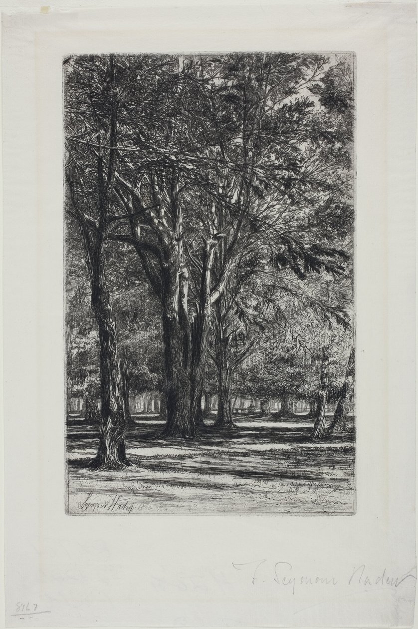Kensington Gardens, nro II (iso levy) tekijältä Francis Seymour Haden