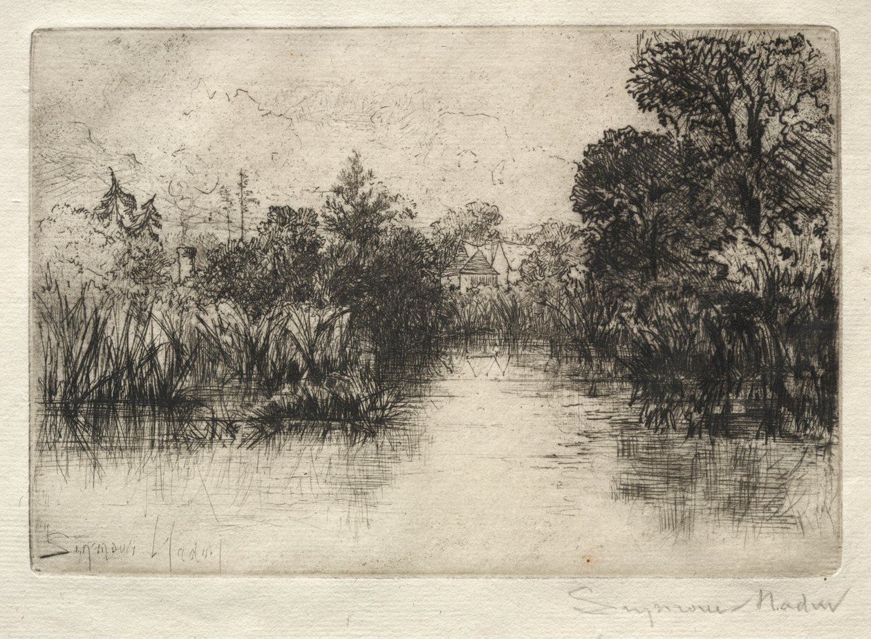 Shere Mill Pond (pieni tutkimus) tekijältä Francis Seymour Haden