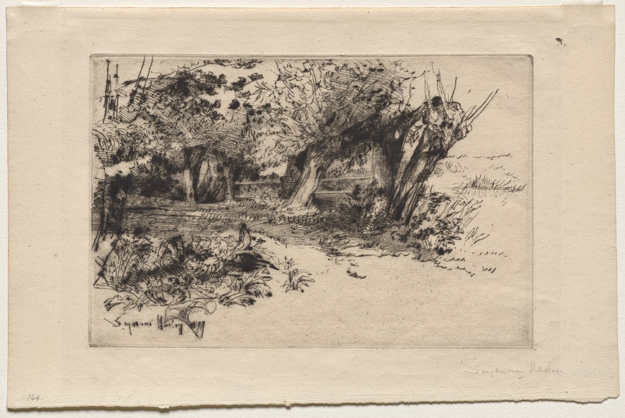 Willows tekijältä Francis Seymour Haden