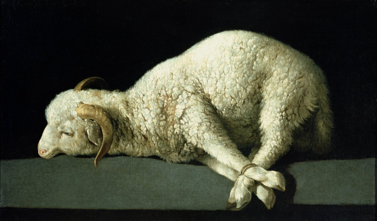 Agnus Dei, n. 1635-1640 tekijältä Francisco de Zurbaran