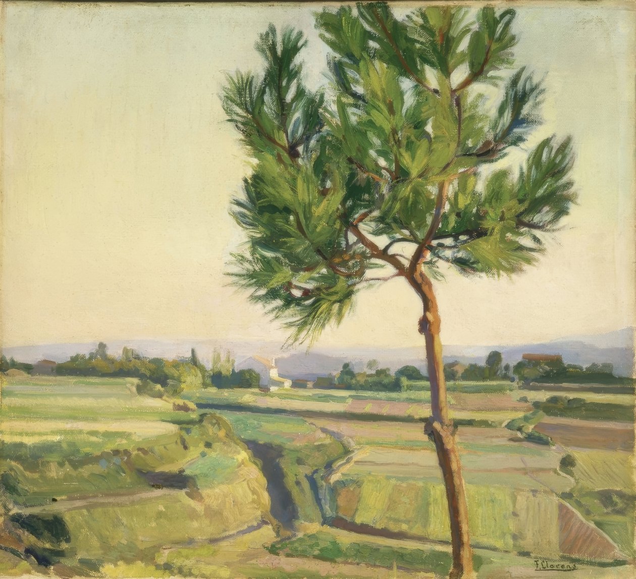 PUU (MERA) –1931–45X50,5– tekijältä Francisco Llorens Diaz