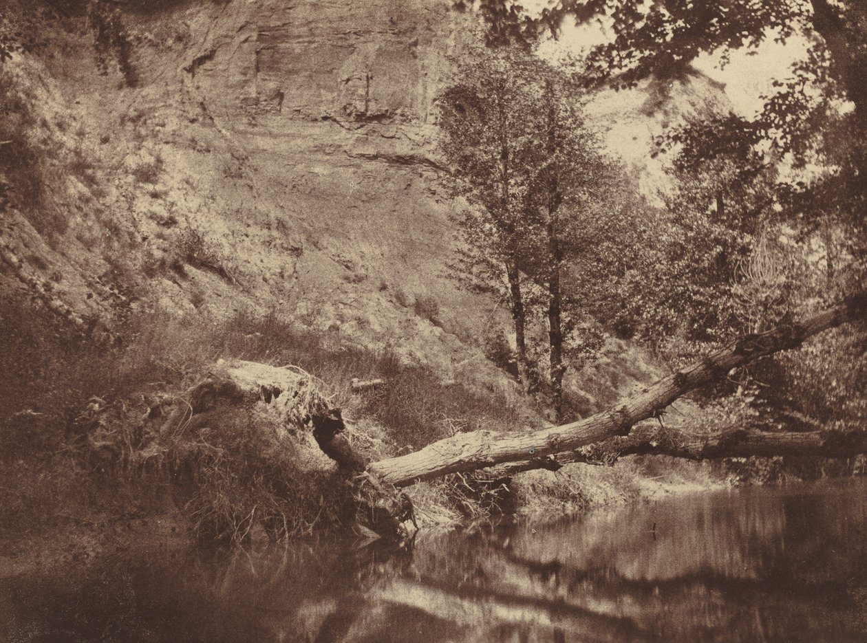 Joenranta, c. 1855. tekijältä Frank Chauvassaigne
