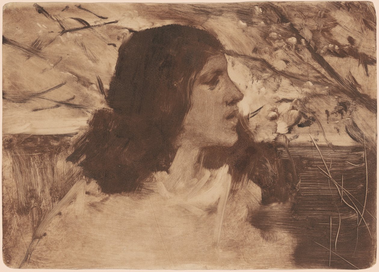 Naisen pää tekijältä Frank Duveneck