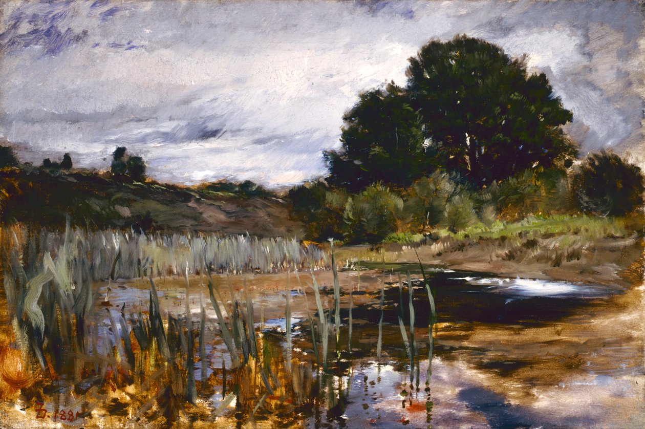 Äänestysmaisema tekijältä Frank Duveneck