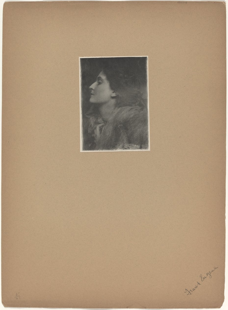 Lady of Charlotte, 1901. tekijältä Frank Eugene