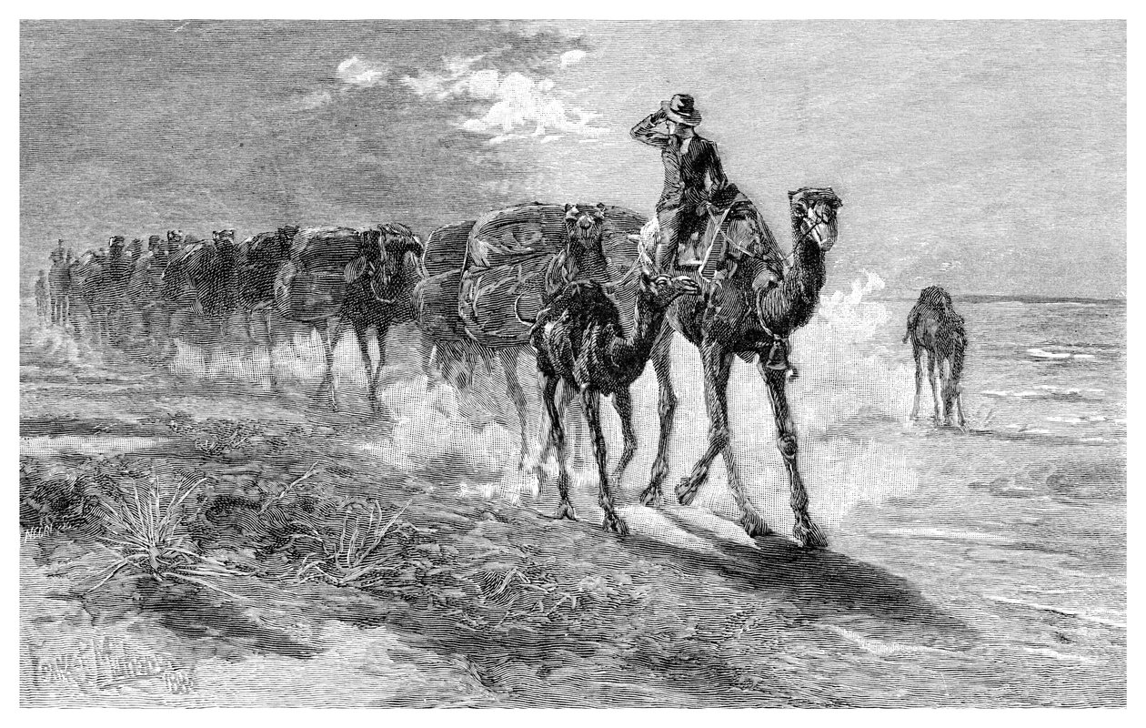 Kamelit kantavat villaa, 1886. tekijältä Frank P. Mahony