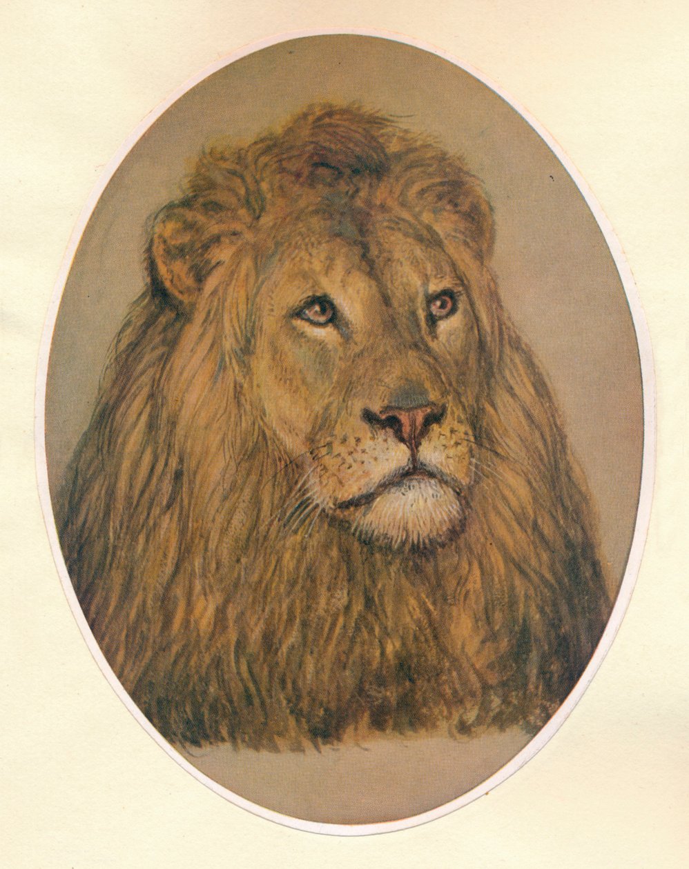 Lions Head, c1896 tekijältä Frank Paton