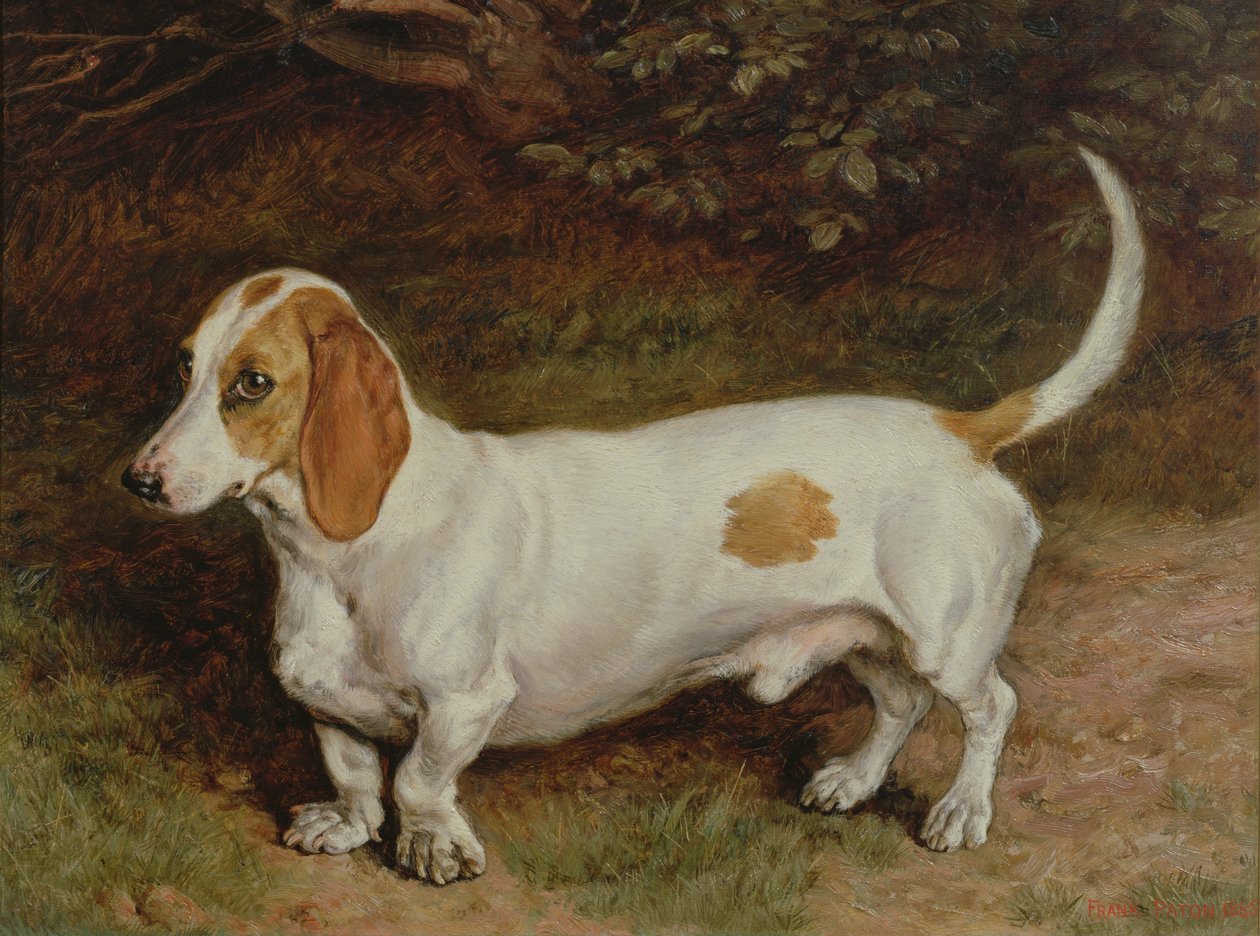 Suosikkimäyräkoirani, 1885 tekijältä Frank Paton