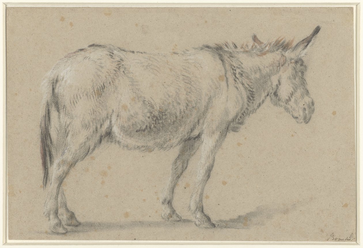 Seisova aasi, kasvot oikealle tekijältä François Boucher (possibly)