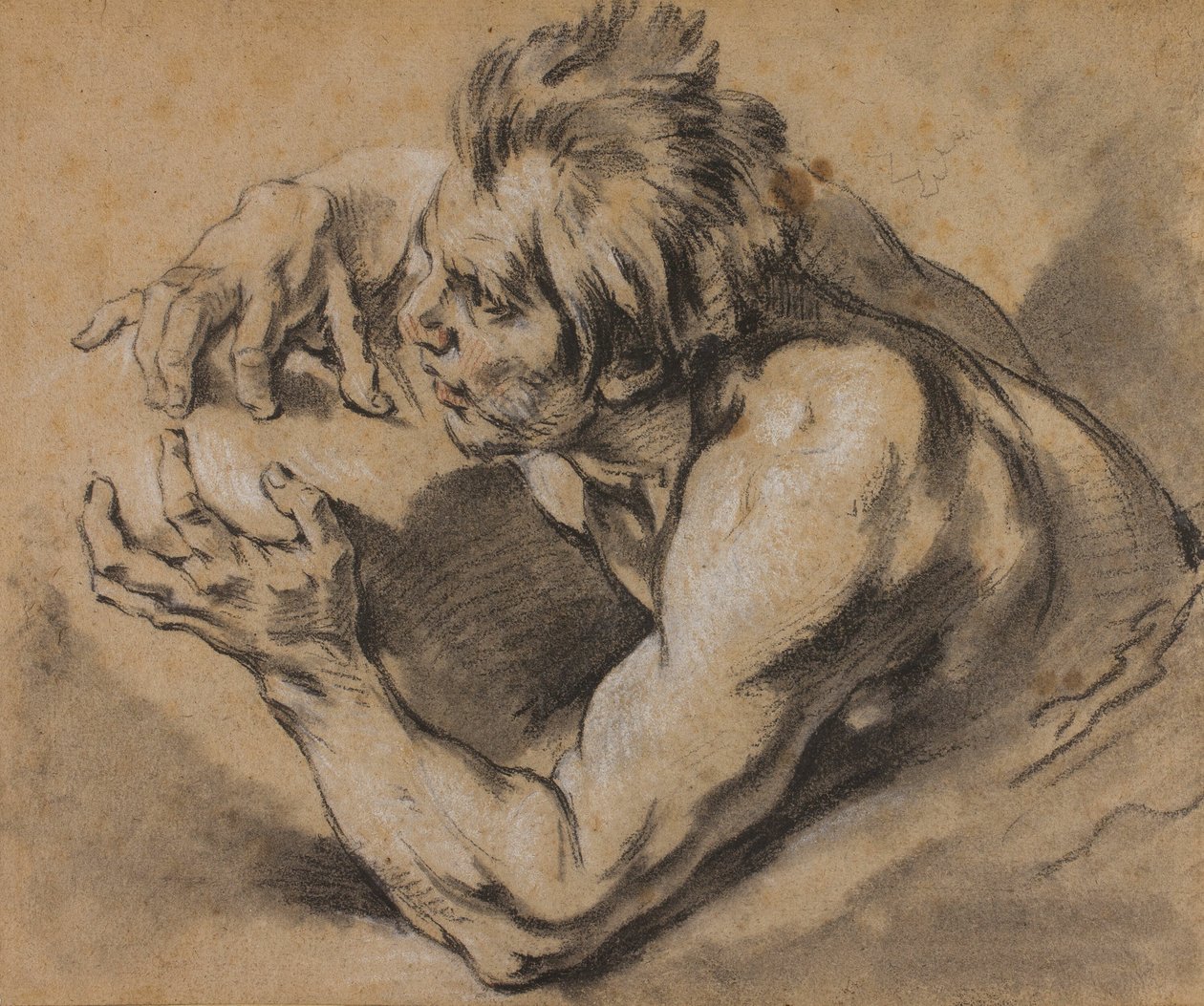 Tritonin tutkimus tekijältä François Boucher