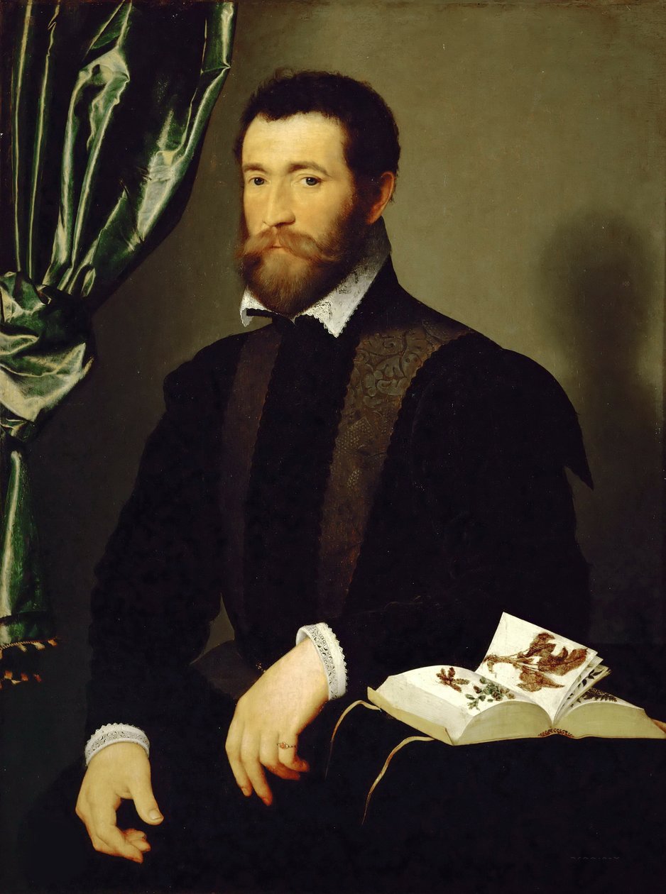 Pierre Quthen muotokuva, apteekki, 1562. tekijältä François Clouet