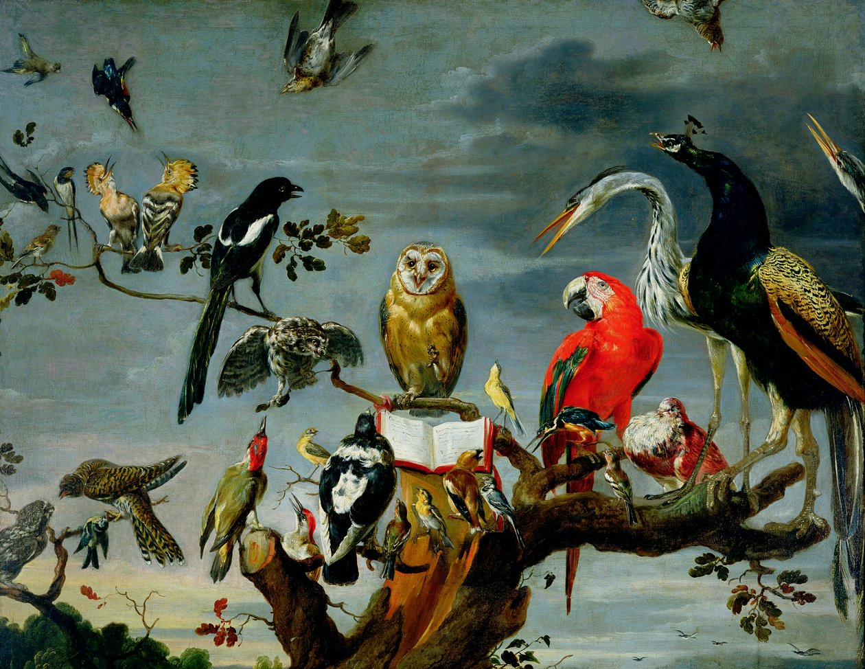 Lintujen konsertti tekijältä Frans Snyders or Snijders