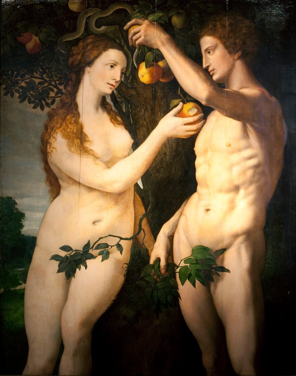 Ihmisen syntiinlankeemus tekijältä Frans Floris I