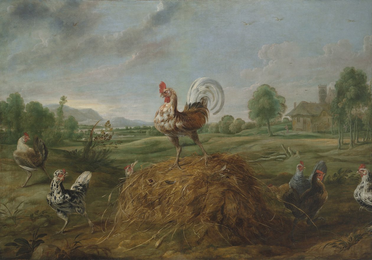 Kukko ja helmi tekijältä Frans Snyders or Snijders