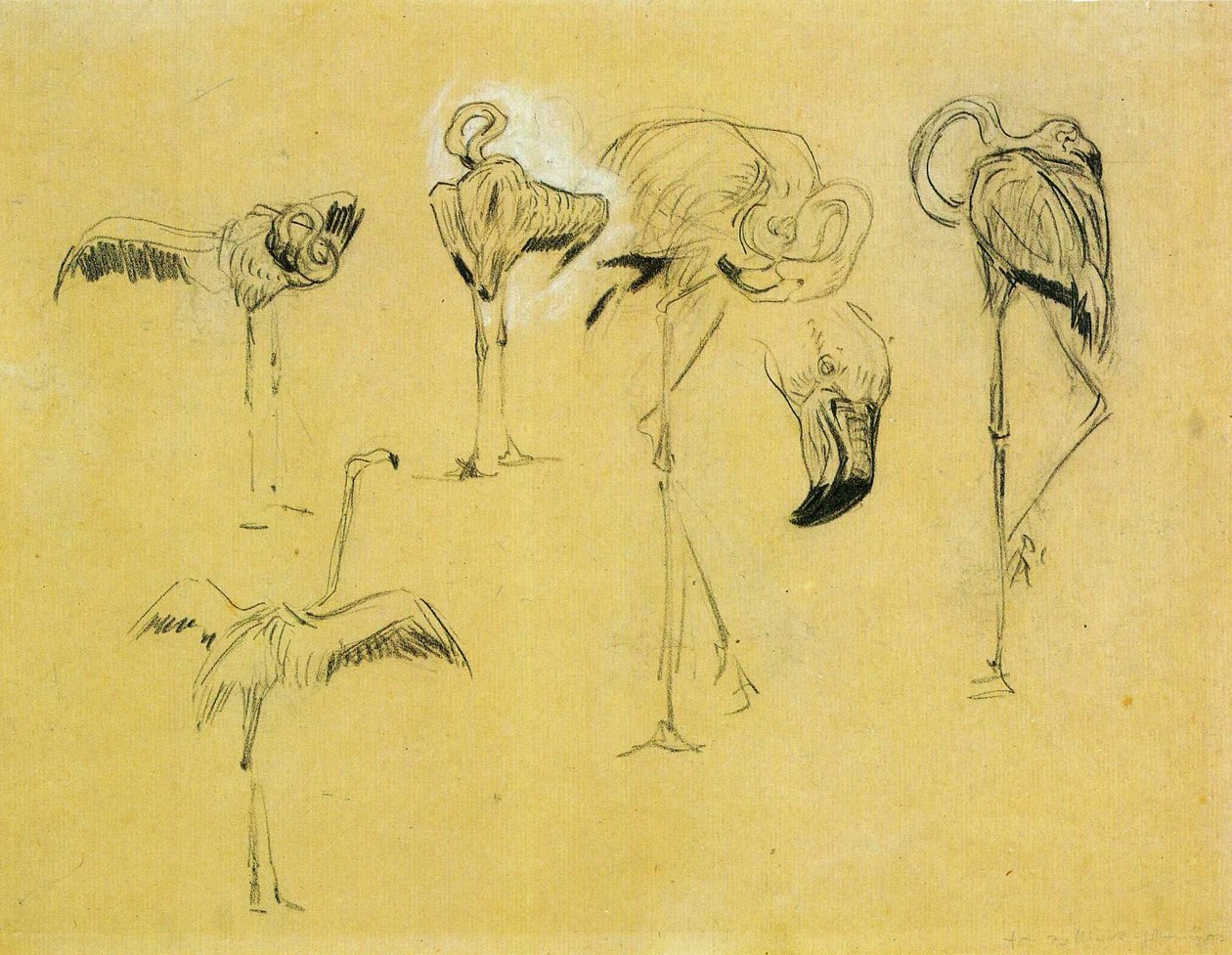 Flamingot tekijältä Franz Marc