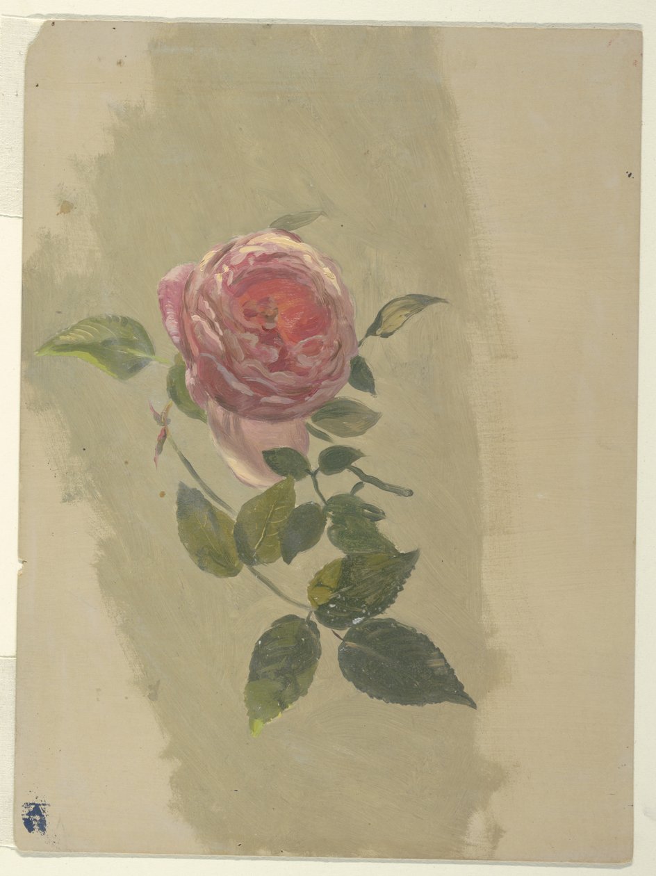 Ruusun oksa tekijältä Frederic Edwin Church