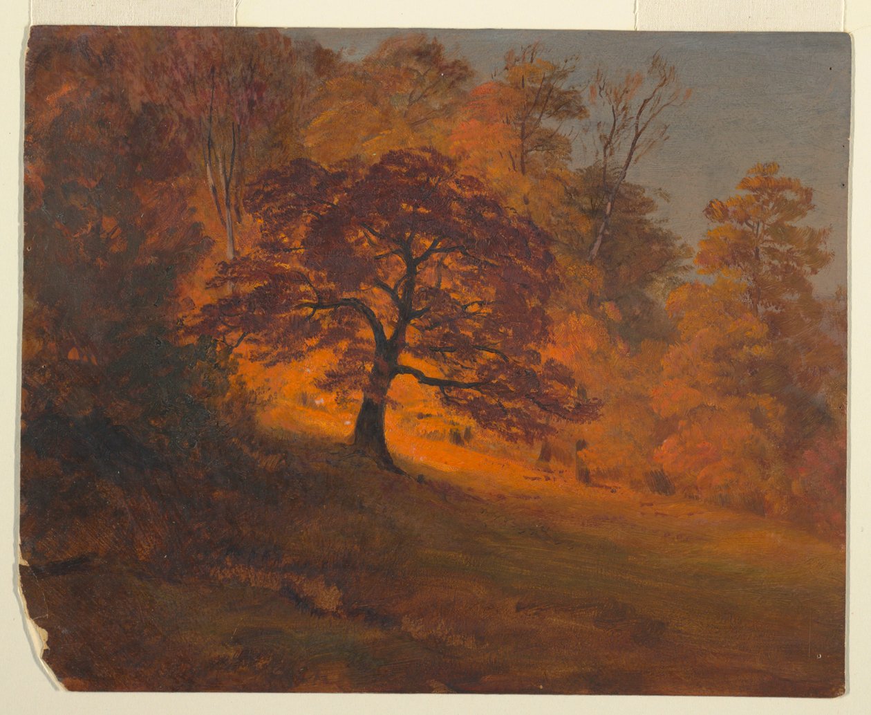 Syksyn lehdet tekijältä Frederic Edwin Church