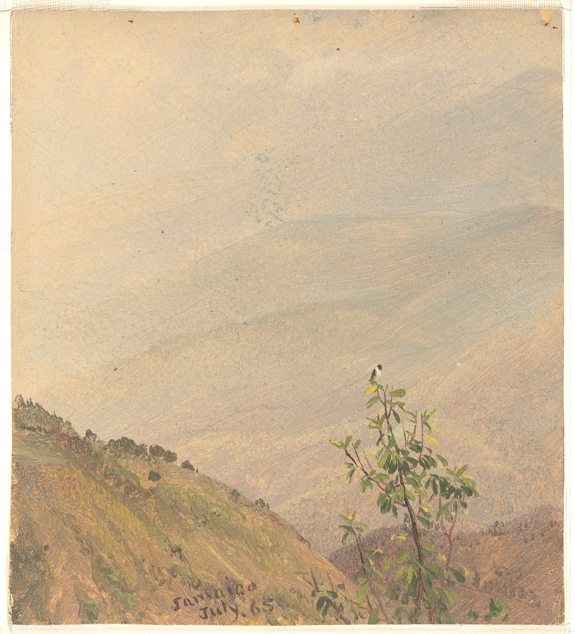 Distant Hills, Jamaika tekijältä Frederic Edwin Church