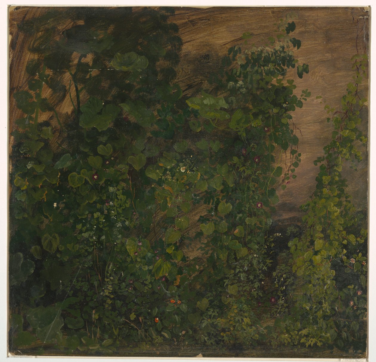 Piirros, Viidakon kasvillisuus, 1865 tekijältä Frederic Edwin Church
