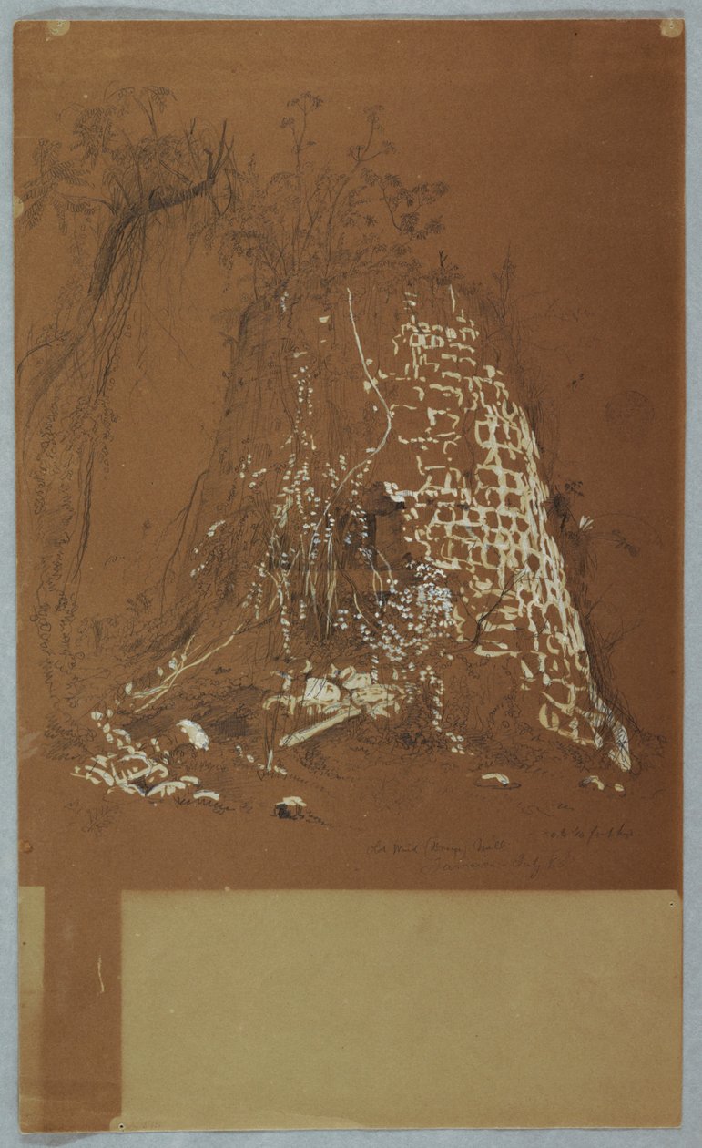 Old Windmill, Jamaika tekijältä Frederic Edwin Church