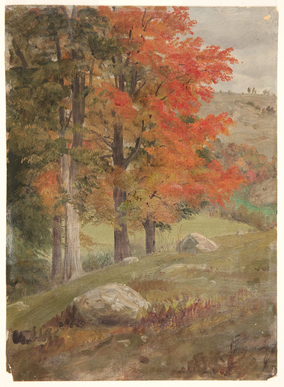 Metsää syksyllä tekijältä Frederic Edwin Church