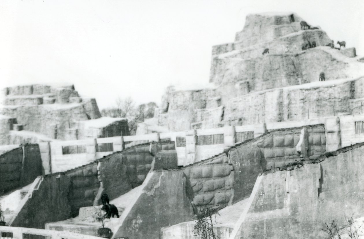 Mappin Terraces, Lontoon eläintarha, 1922 tekijältä Frederick William Bond