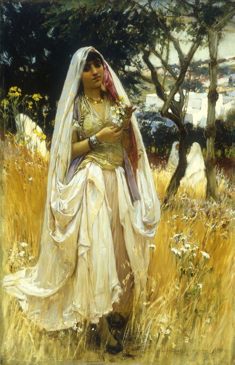 Nuori Maurengue, Alaer-kampanja tekijältä Frederick Arthur Bridgman